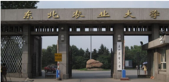 农业大学